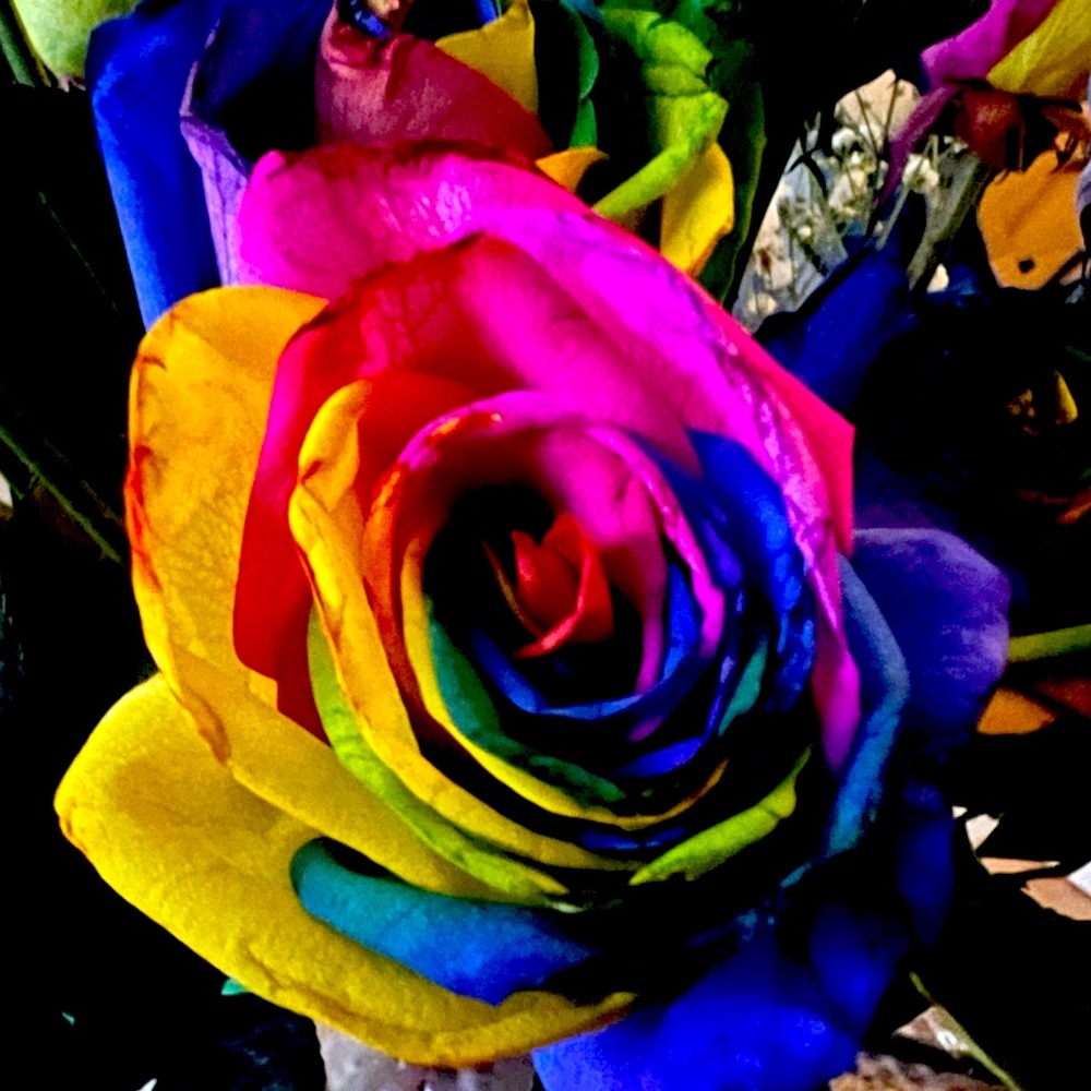 Meet your Posher, Helen V